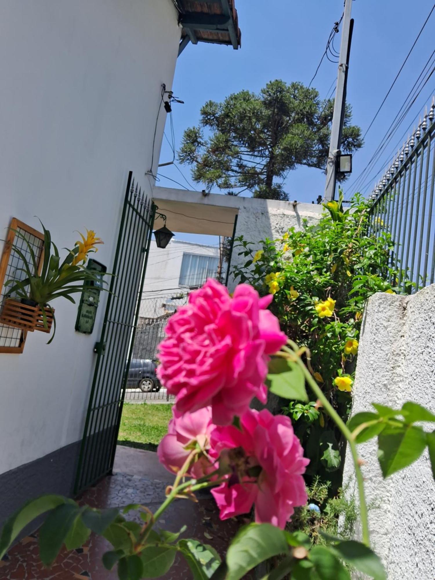Casa Terrea Sp Expo E C Paralimpico 圣保罗 外观 照片